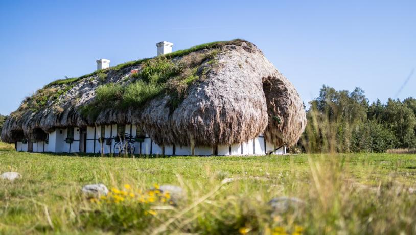 Læsø Tangtage