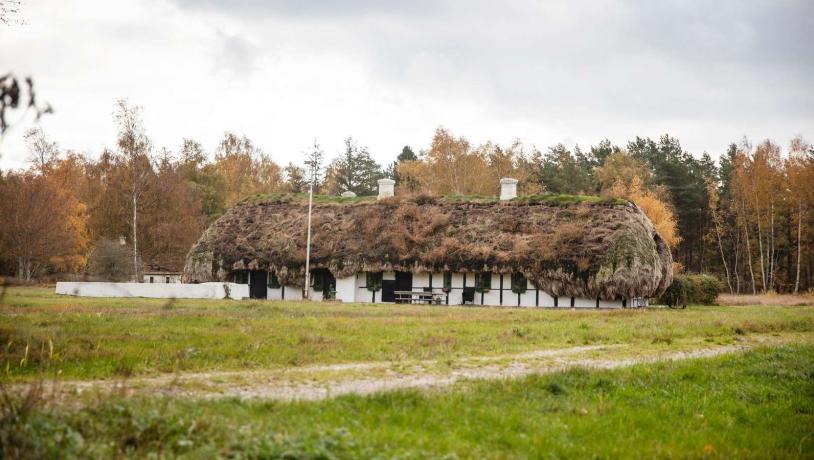 Læsø Tangtage