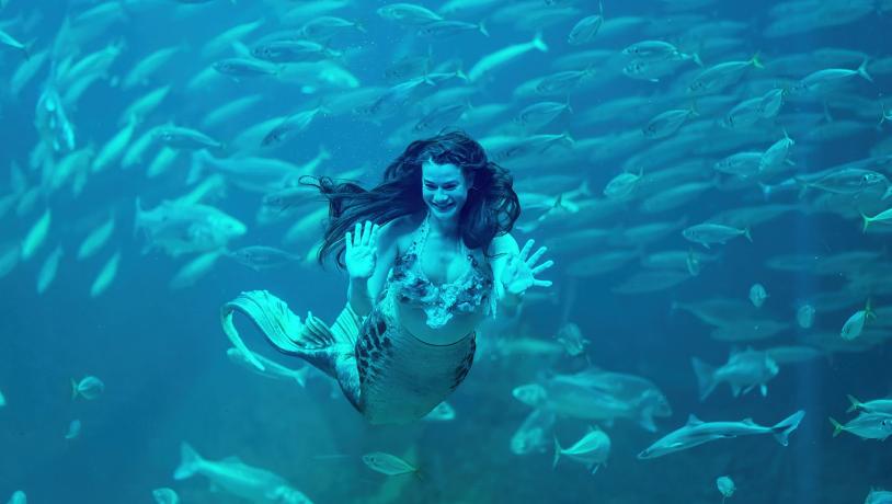 Nordsøen Oceanarium Havfrue