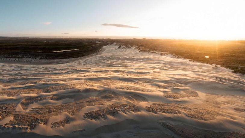 Råbjerg Mile set fra en drone