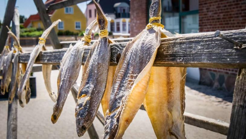 Tørret fisk i Skagen 