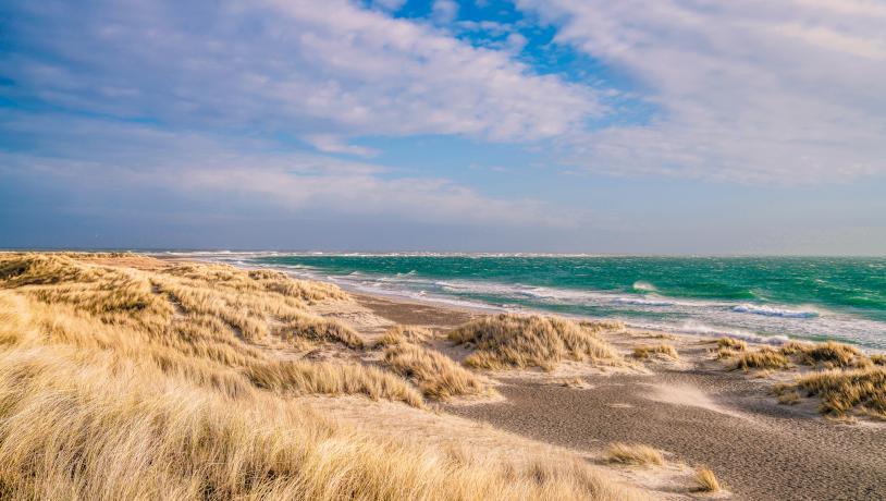 Skagen