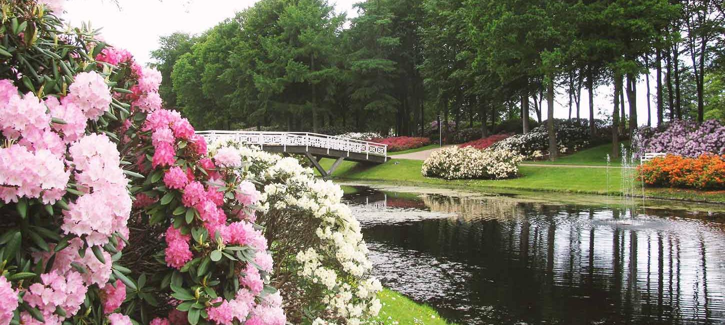 Rhododendronparken i Brønderslev