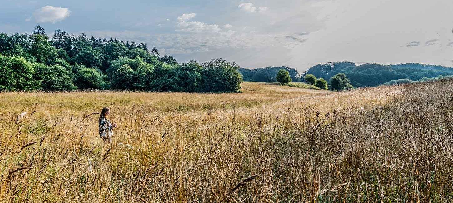 Jyske Ås i Nordjylland