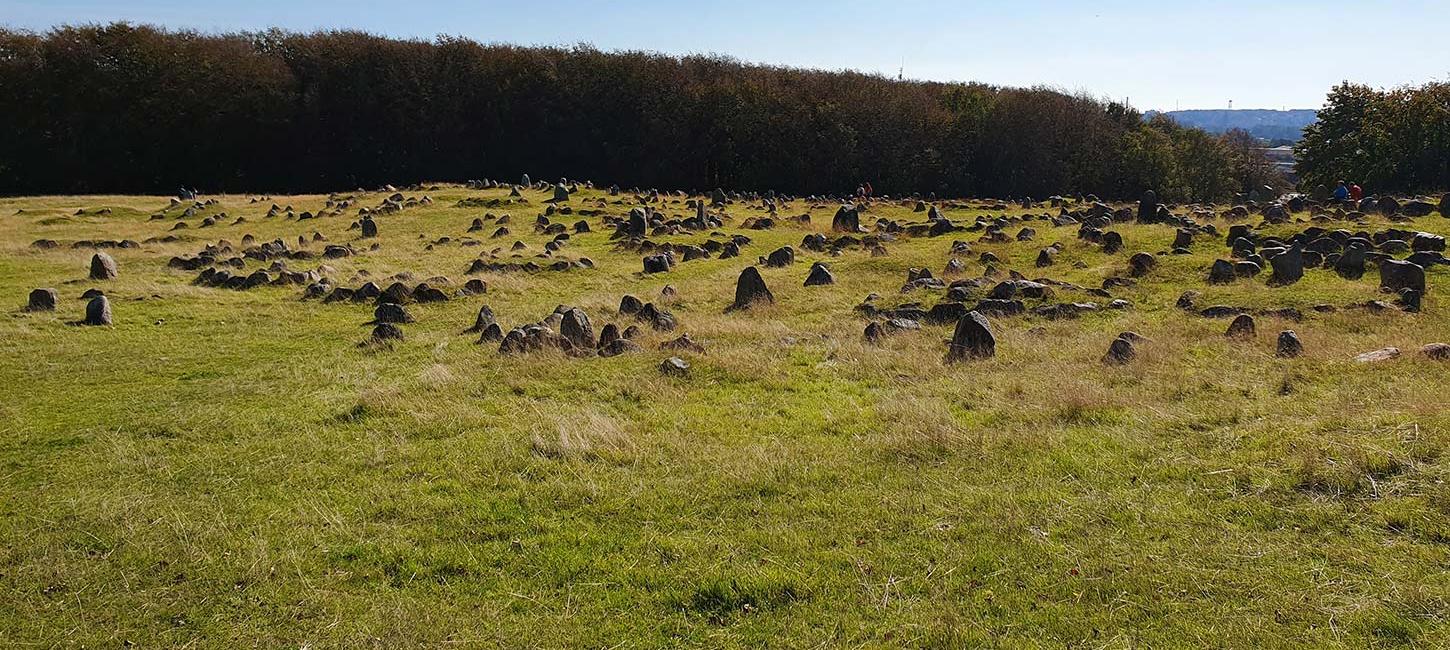 Lindholm Høje i Aalborg