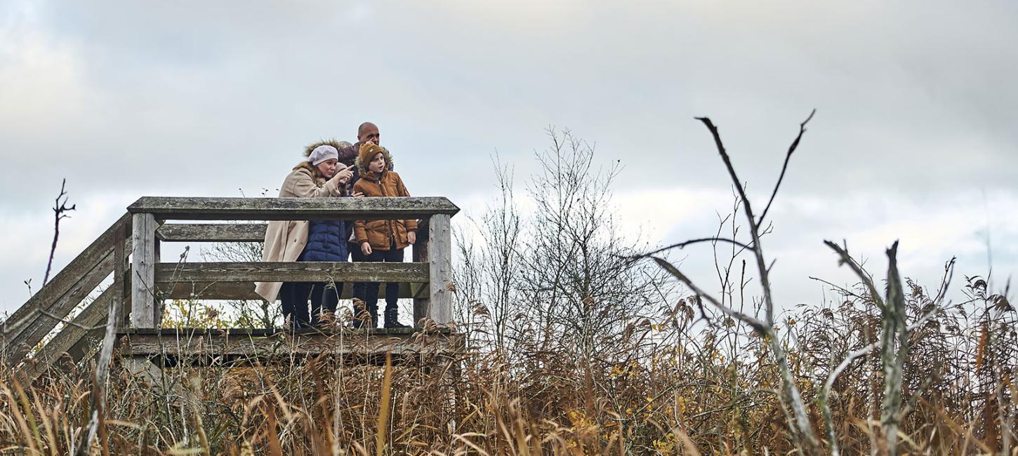 Lille Vildmose i Nordjylland