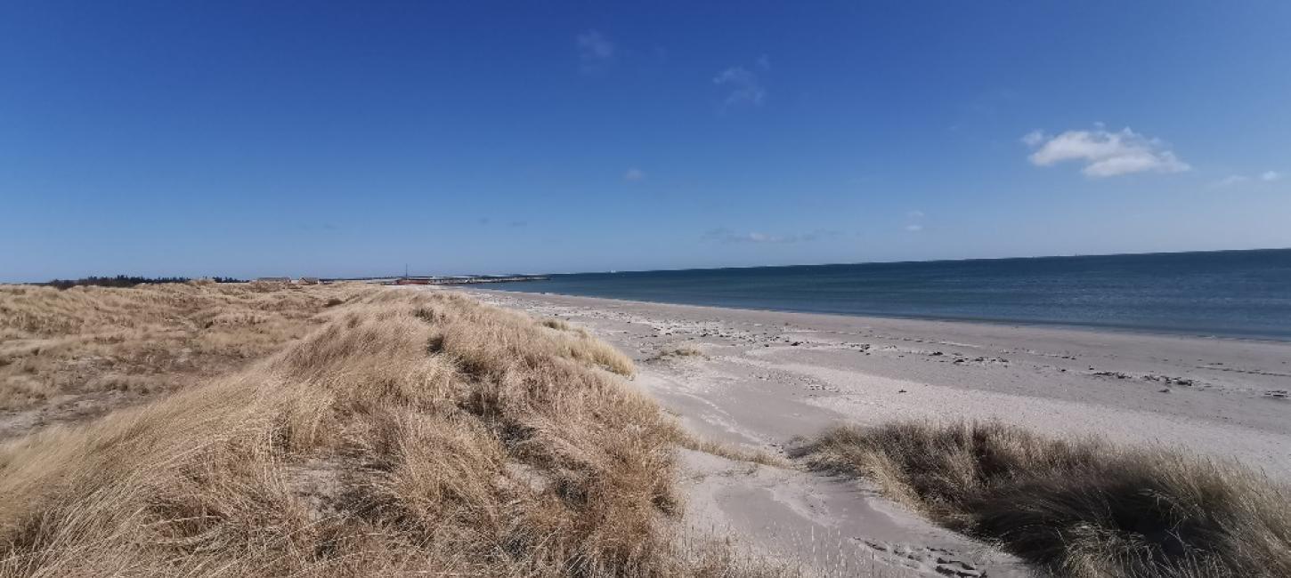 Stranden ved DCU Ålbæk Strand Camping