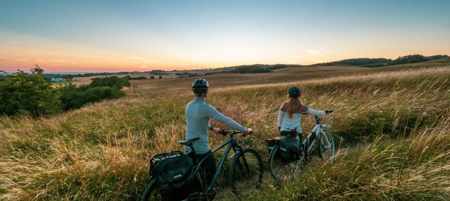 Cyklister kigger over mark 