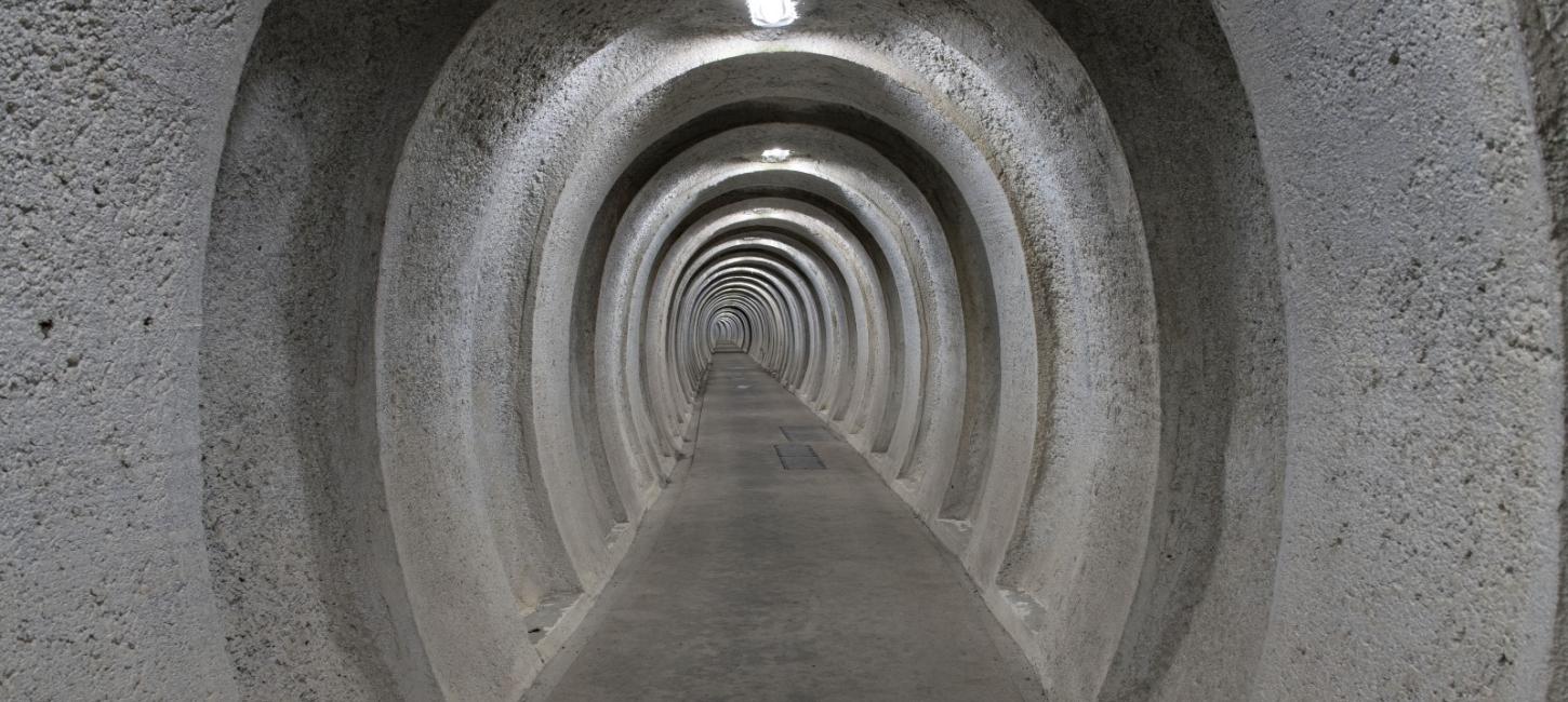 Regan VEST tunnel