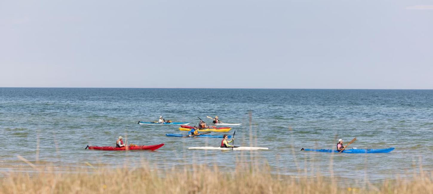 Kajaksejlads ved Hals strand