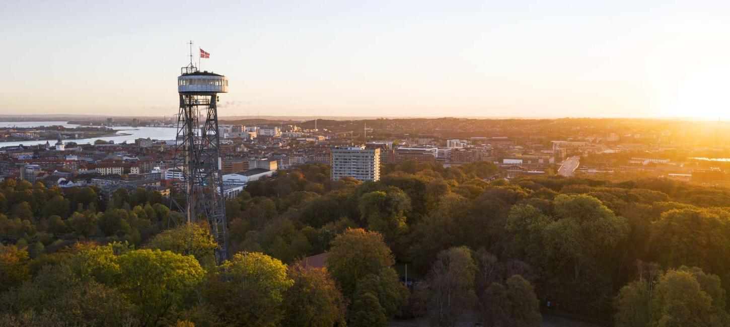View of Aalborg with the Aalborg tower in focus