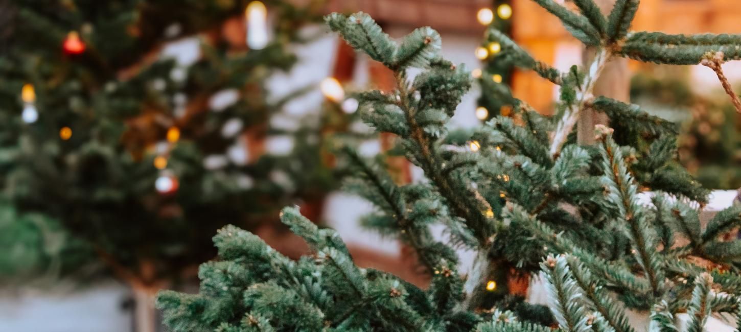 Nord jysk juletræ