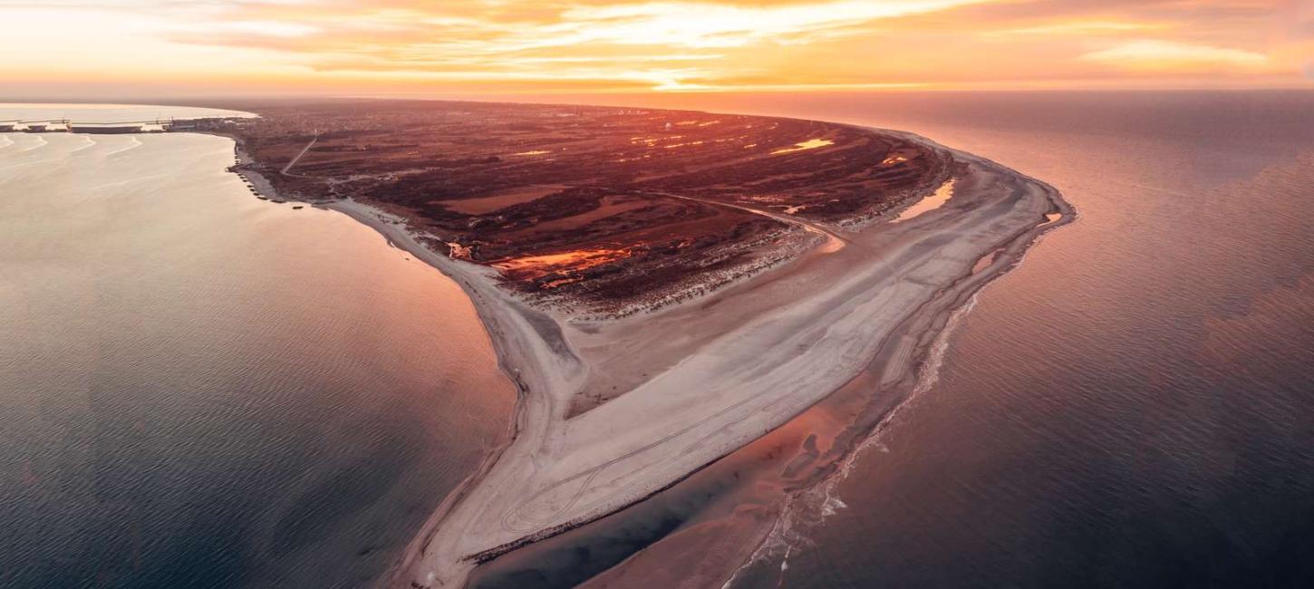 Grenen