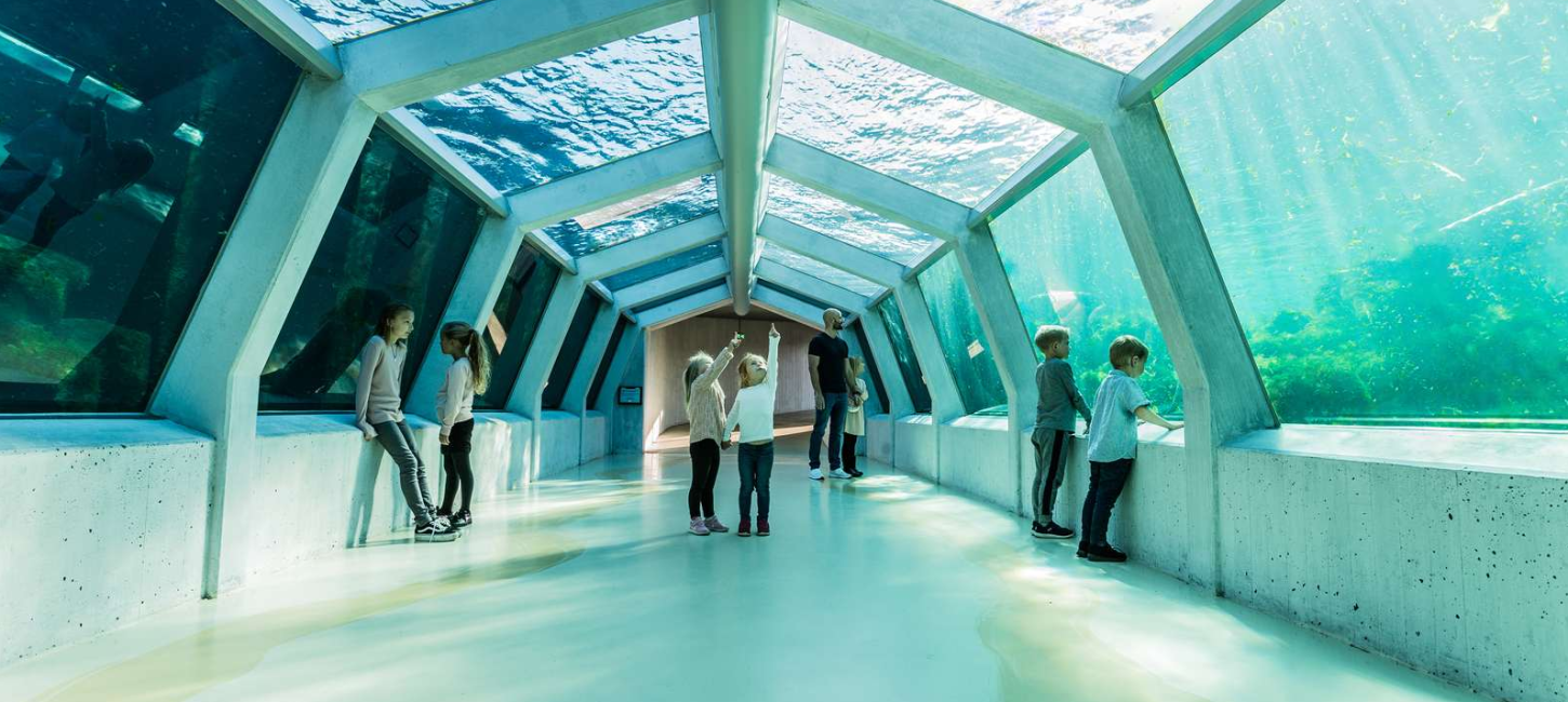 Undervands tunnel v. Nordsøen Oceanarium