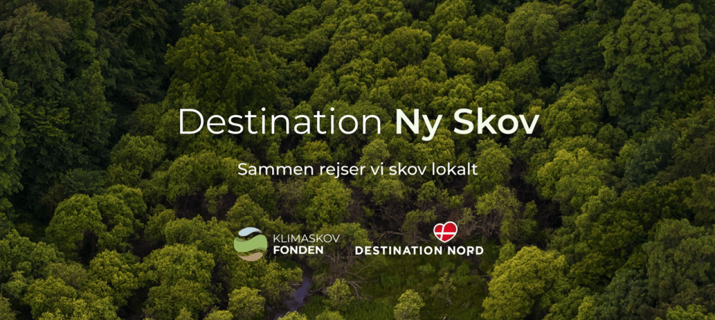 Turismevirksomheder og turister skal plante træer for klimaets skyld