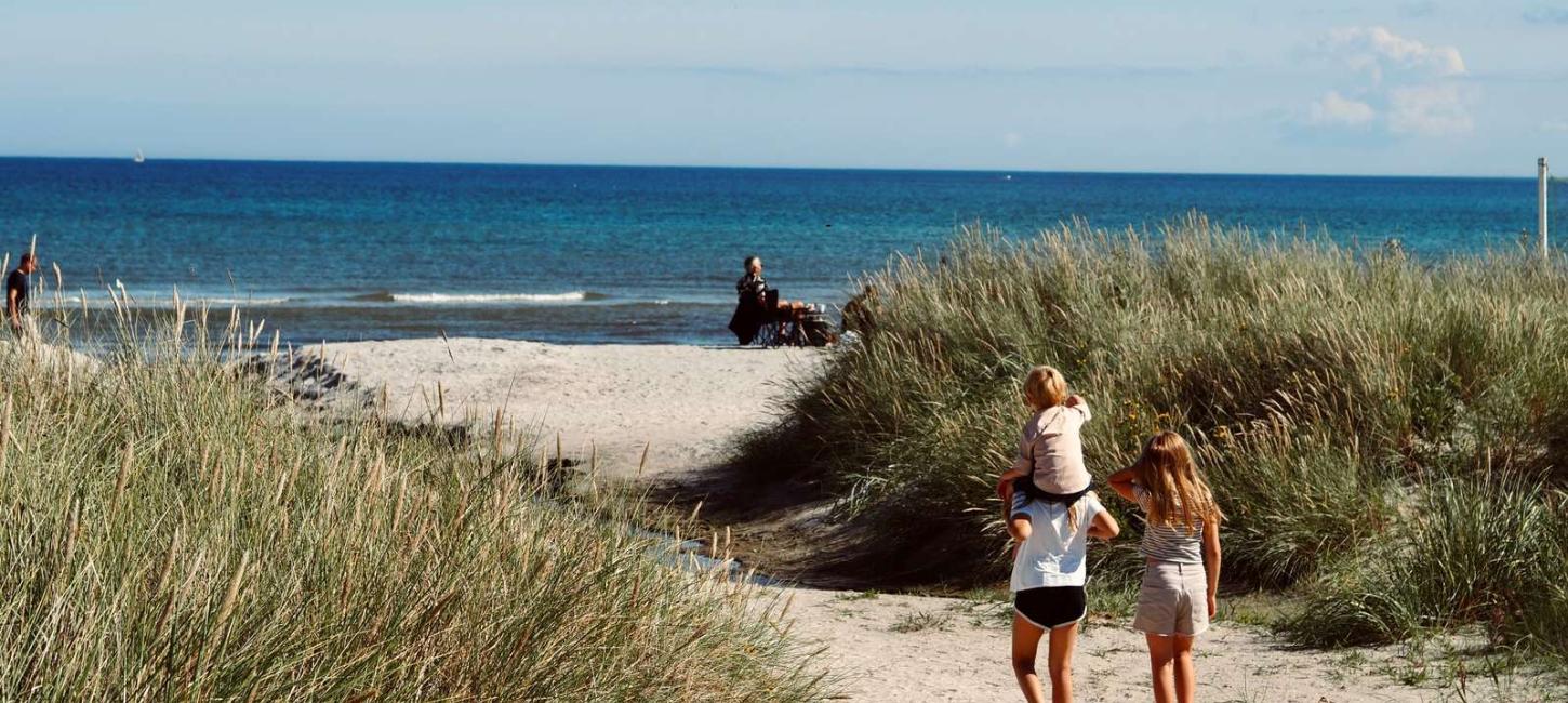Bisnap strand 