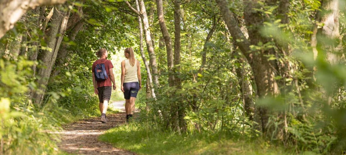 Par der vandrer i en skov
