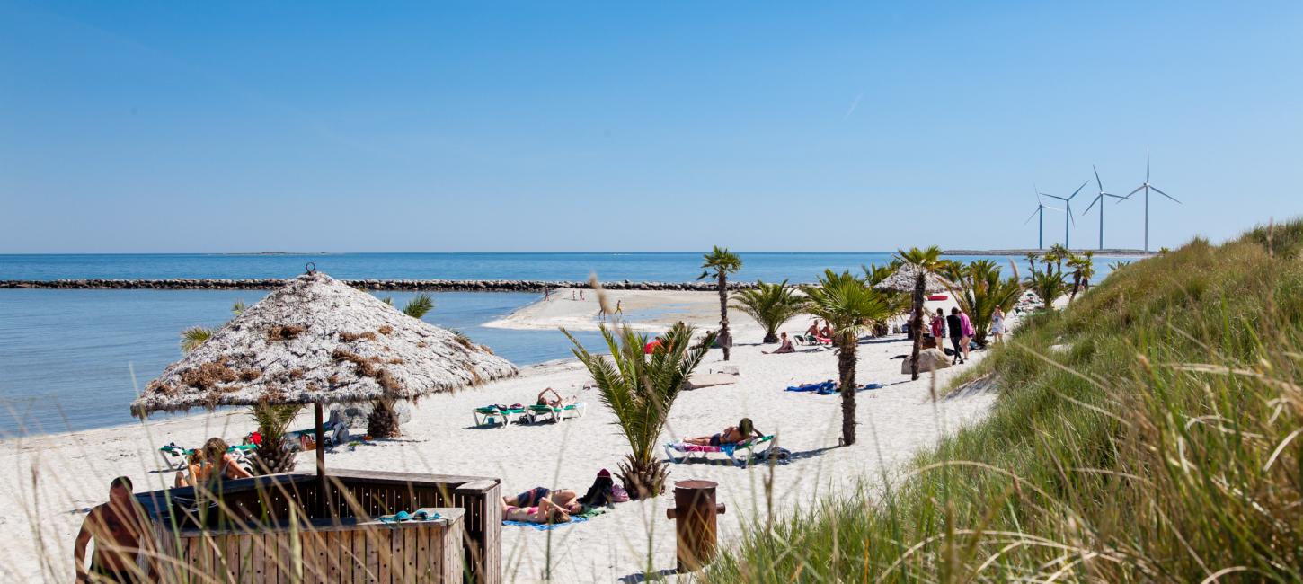 Frederikshavns Palmestrand i sommeren