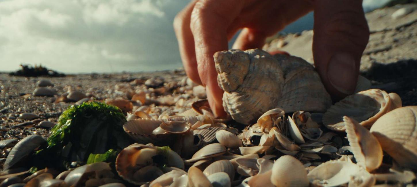 En der samler musligeskaller