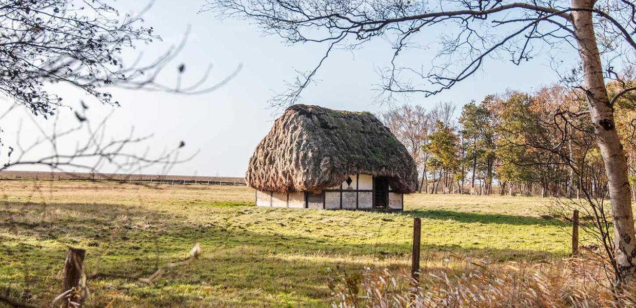 Hus med tangtag på Læsø