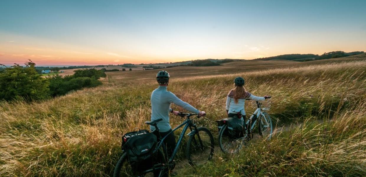 Cyklister kigger over mark 