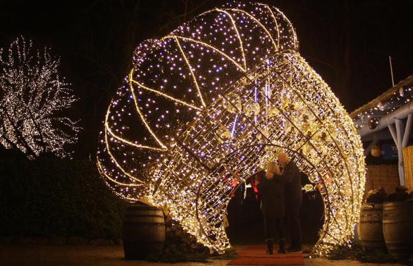 Jul i Zoo