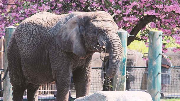 Aalborg Zoo