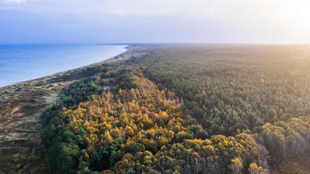 Skov og kyst på Læsø