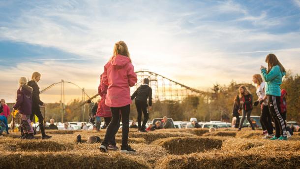 Halmballelabyrint til Høstfest i Fårup Sommerland