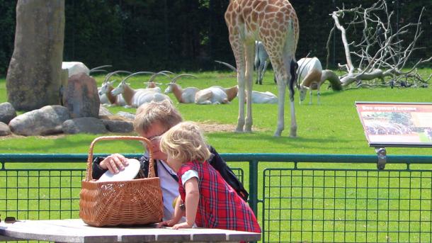 Picnic i Aalborg Zoo