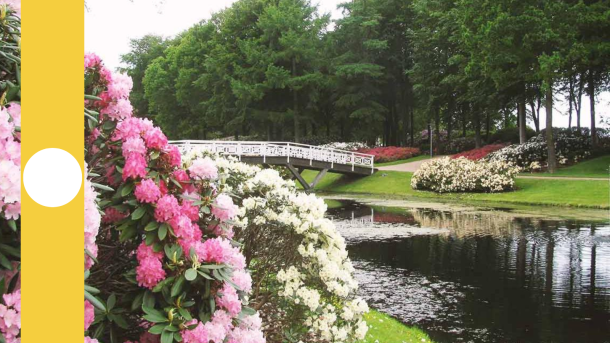 Hedelund Rhododendronpark