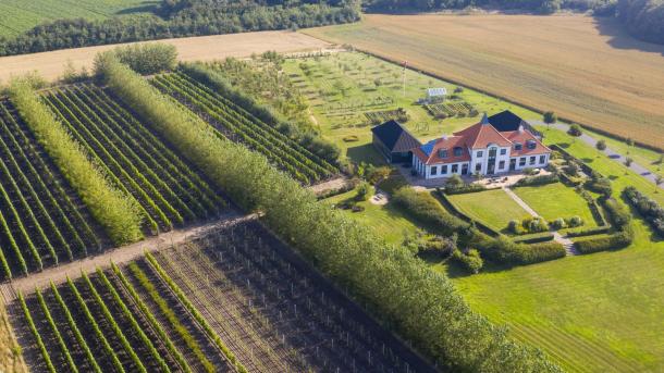 Nygårdsminde Vingård set fra oven