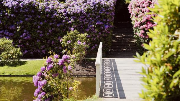Rhododendronparken 