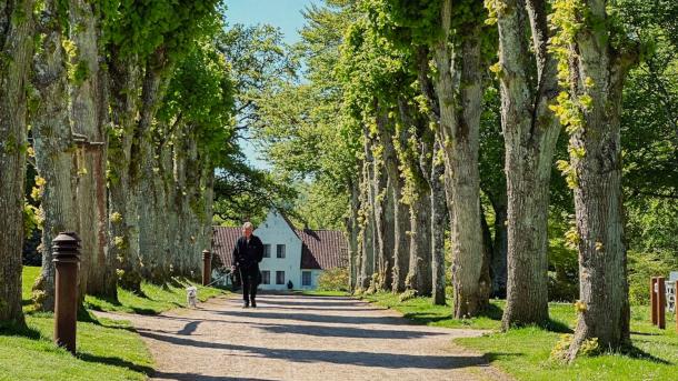 Stien i Bangsbo Botanisk Have