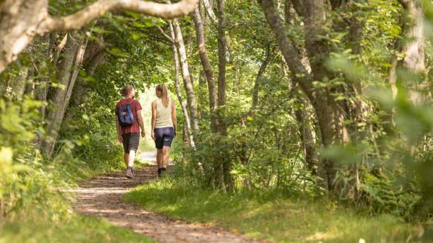 Par der vandrer i en skov