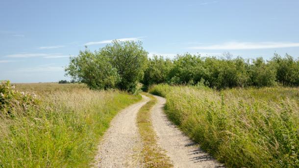 Vej mod stranden (ved Elling Å)