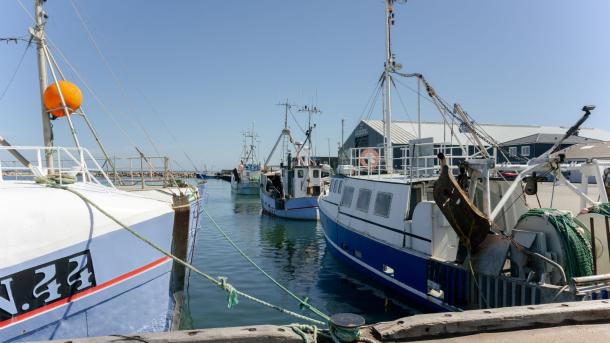 Strandby Havn