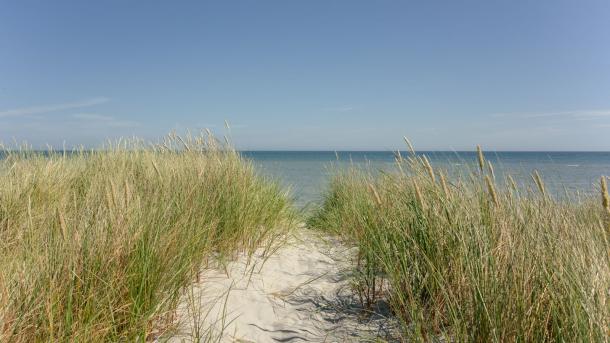 Strandby Strand