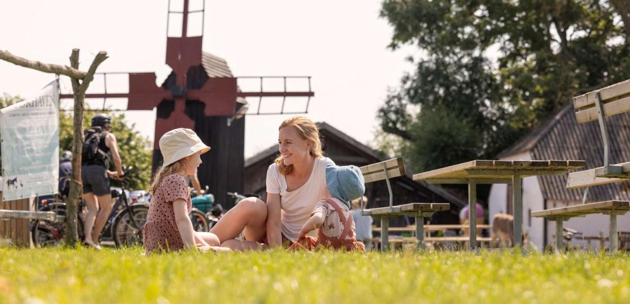 Læsø Storhaven