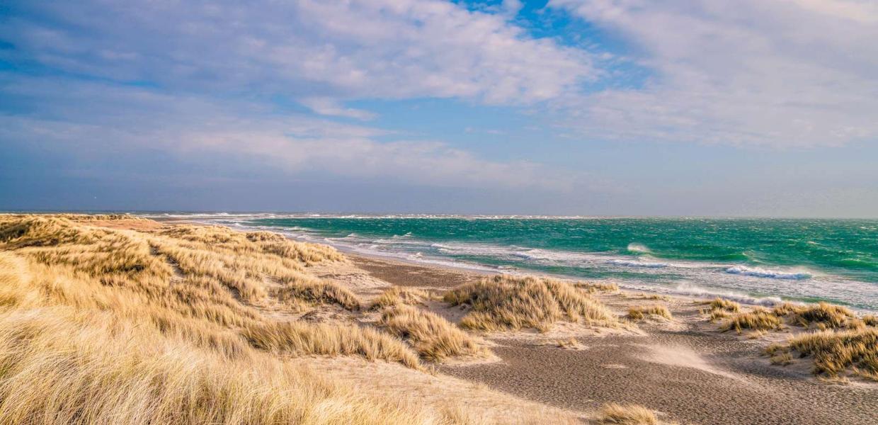Skagen strande 