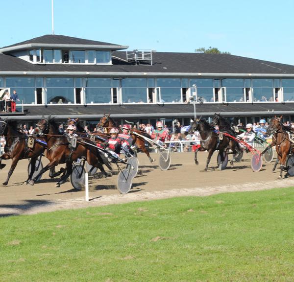 Travheste på banen ved Racing Arena Aalborg