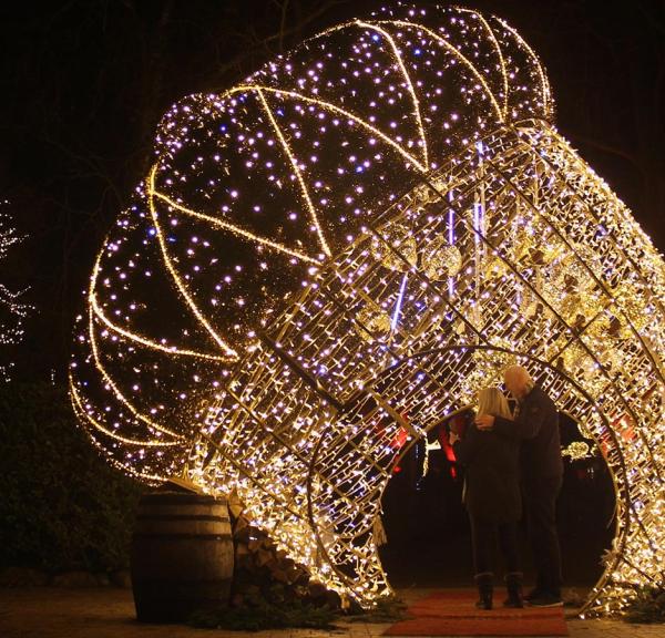 Jul i Zoo