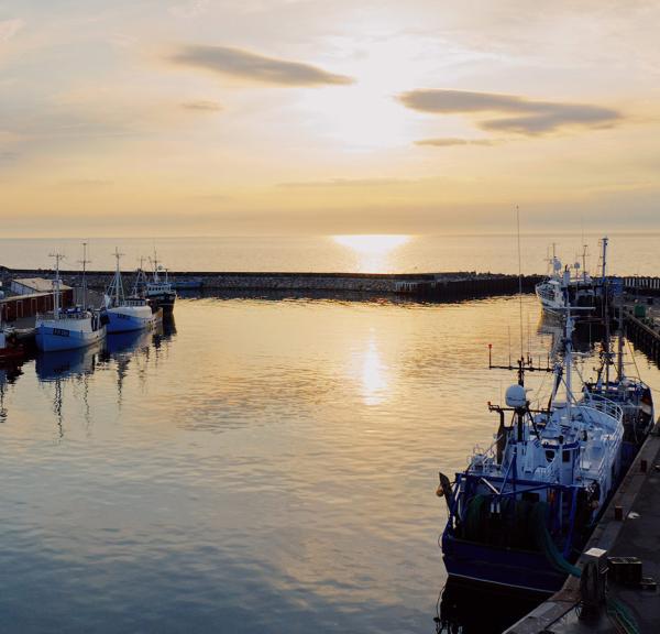 Vesterø Havn på Læsø