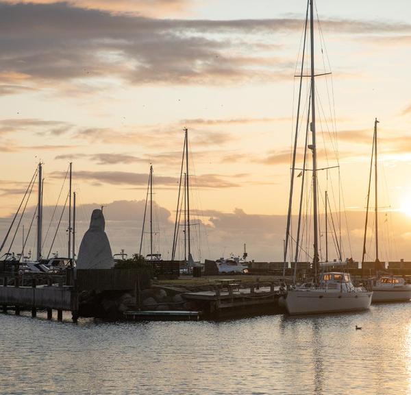 Sæby havn
