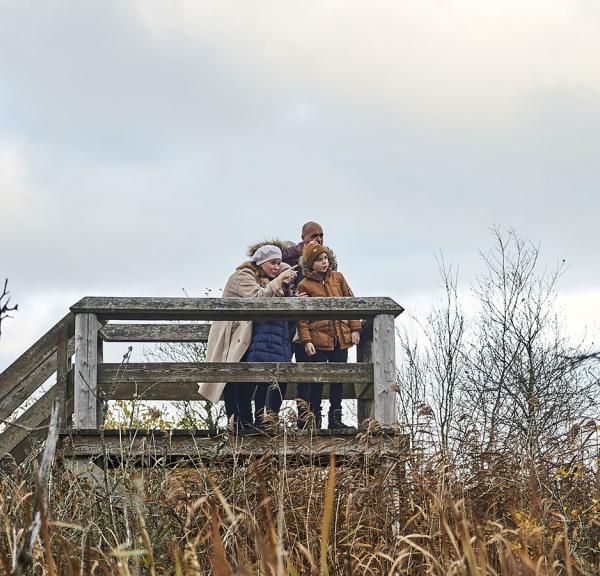 Lille Vildmose i Nordjylland