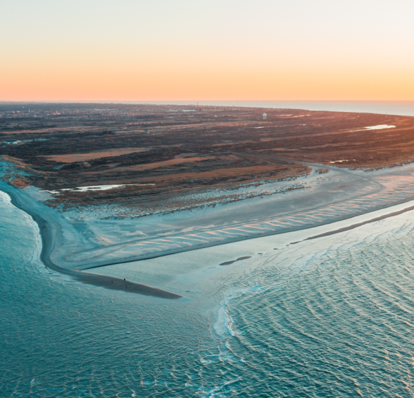 Grenen