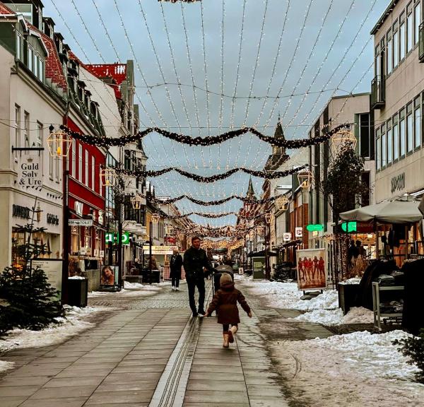 Frederikshavn by i december måned