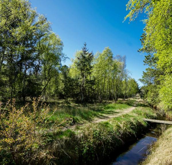 Naturture i Brønderslev Kommune
