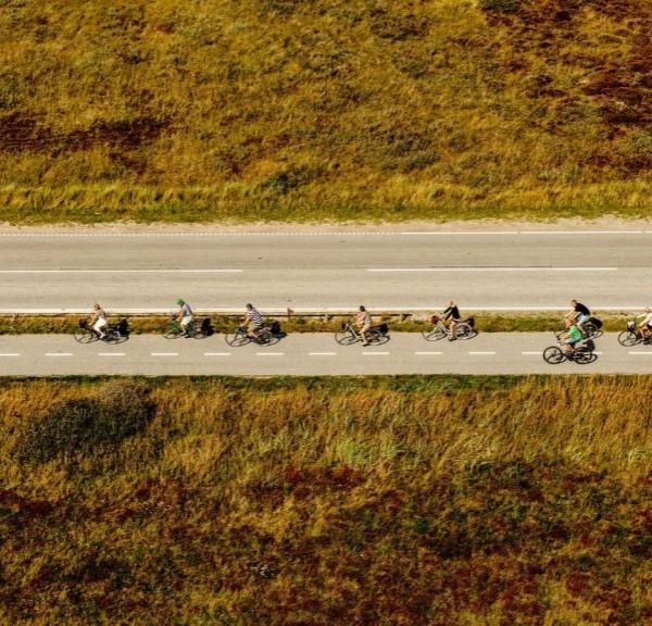 Gruppe der cykler i Skagen