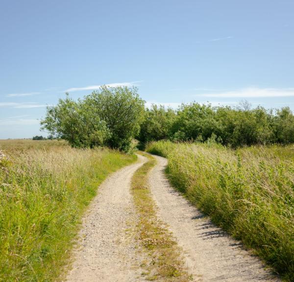 Vej mod stranden (ved Elling Å)